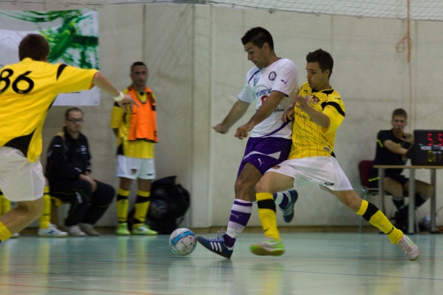 _MG_9736 _MG_9736